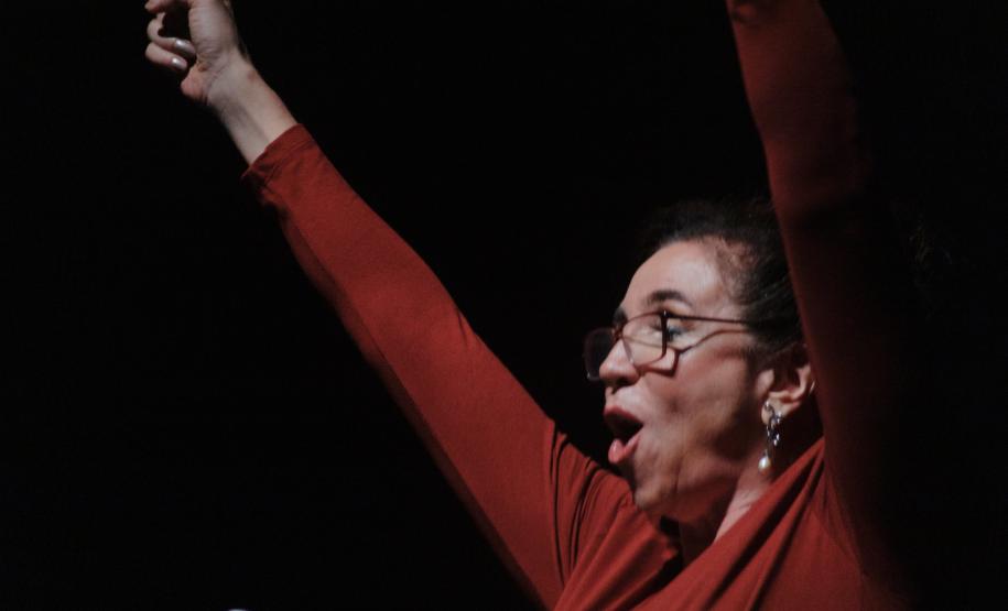 Imagens da agenda do Festival que aconteceu ou vai ocorrer no CCTG