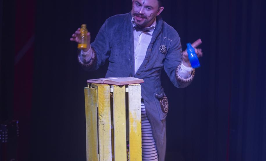 As fotos mostram as apresentações de várias modalidades do teatro de bonecos no Festival, com as crianças lotando as sessões e fazendo foto no boneco gigante e coloorido em frente ao Teatro Guaíra.