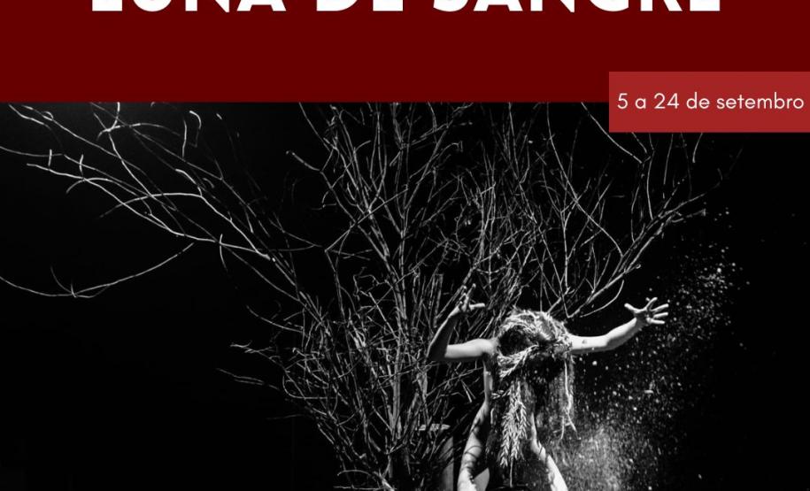 Arte feita com a foto do espetáculo em preto e branco.