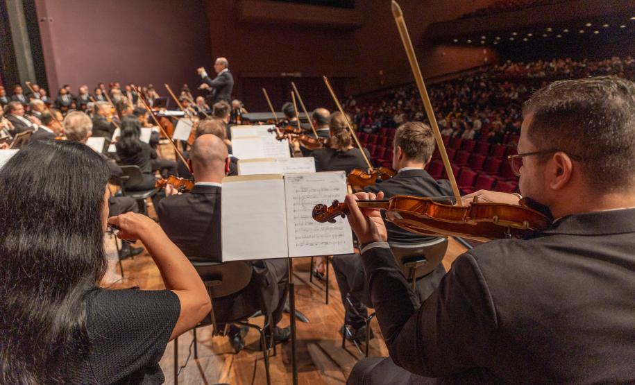 violinistas