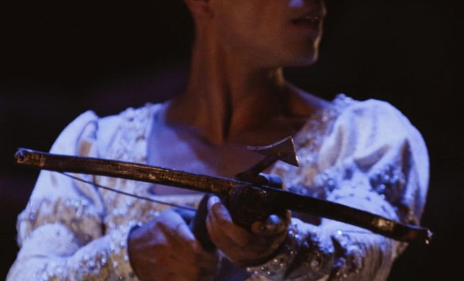 O espetáculo contará com a participação especial de Ana Botafogo e dos convidados Cícero Gomes e Juliana Valadão, primeiros bailarinos do Theatro Municipal do Rio de Janeiro