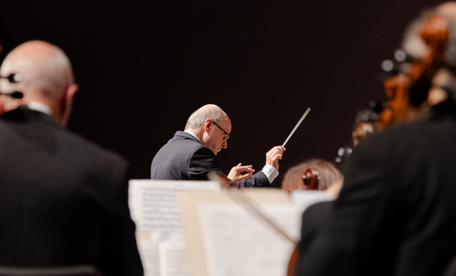 maestro regendo orquestra, músicos de costas
