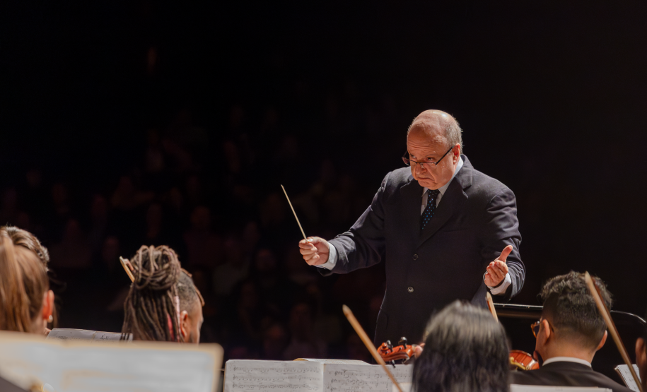 maestro regendo orquestra, músicos de costas
