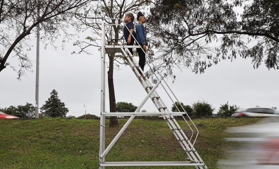 escada em um ambiente aberto, com grama no chão e árvores ao fundo