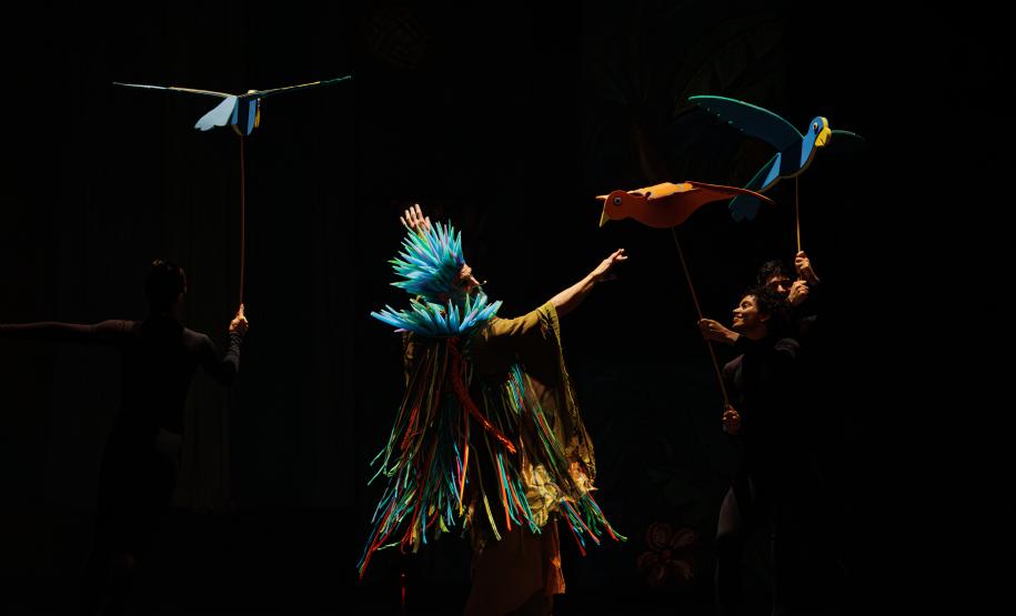 Neste ano, uma das novidades do espetáculo é a participação do bailarino Ricardo Garanhani, integrante do G2 Cia. de Dança, grupo master do Teatro Guaíra