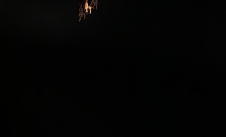 Cenas da apresentação de Orfeu e Eurídice, com os dois elencos