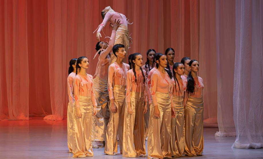 Crisalida. Foto Vitor Dias