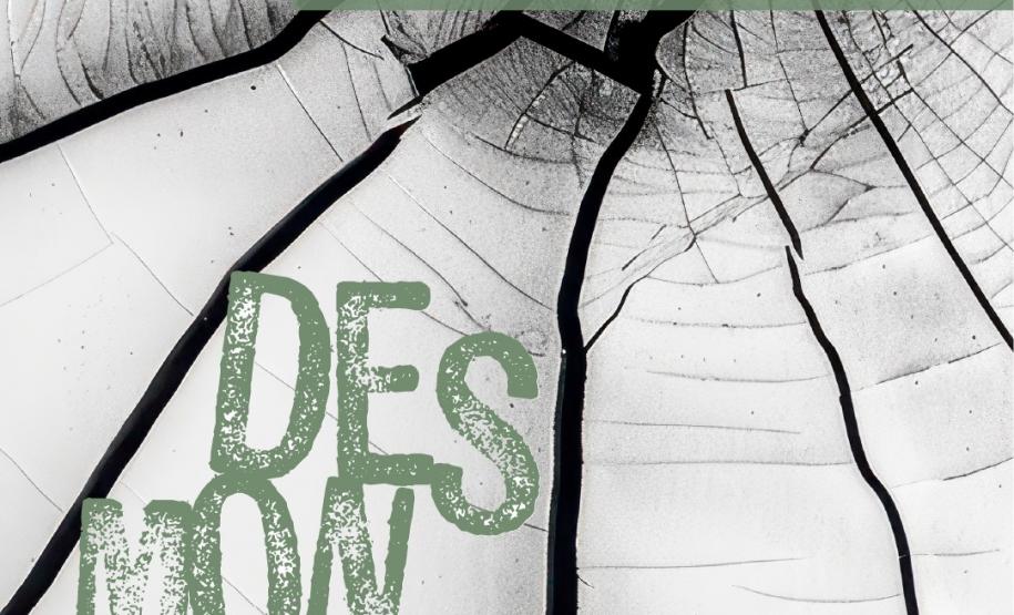 "Desmonte" estreia em Curitiba e expõe a aridez das relações humanas