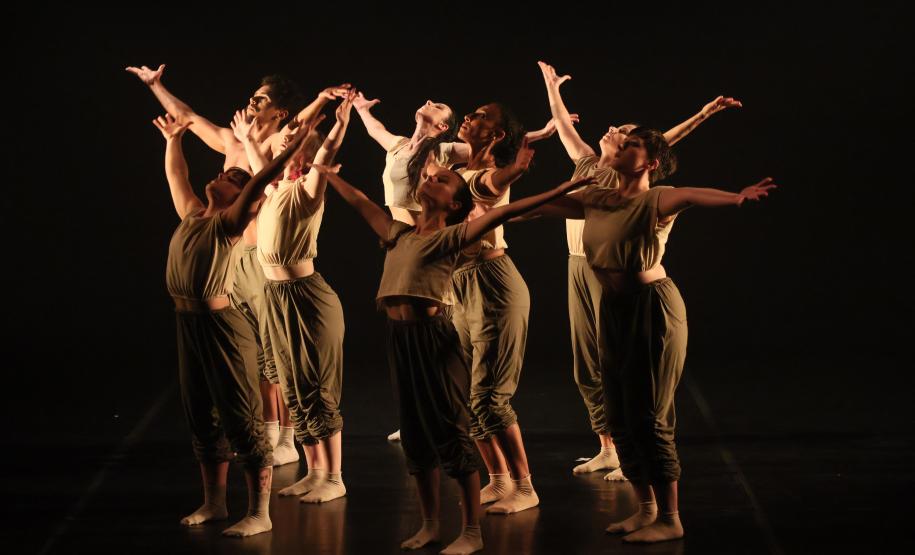 “Para Onde Foram as Andorinhas?” espetáculo de dança reflete sobre questões ambientais