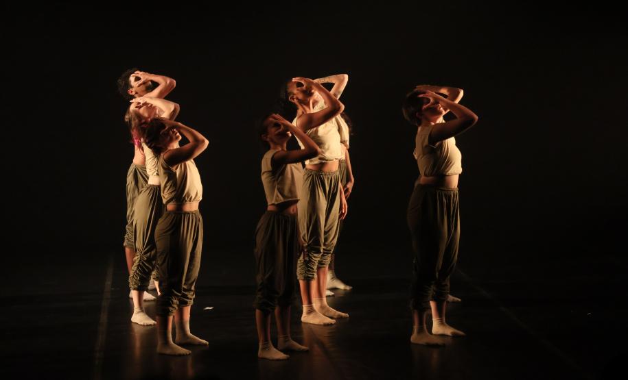 “Para Onde Foram as Andorinhas?” espetáculo de dança reflete sobre questões ambientais