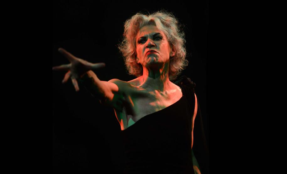 Festival Homero traz 8 espetáculos da Cia Iliadahomero ao Teatro Zé Maria