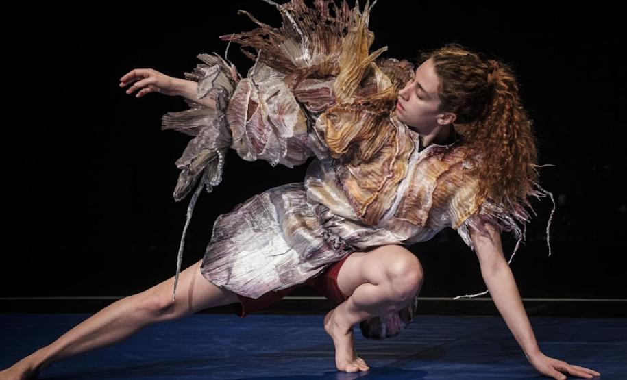 Abertura do 9° Espetacular - Mostra Internacional de Artes para Crianças acontece no Guairinha com o espetáculo BLOOM