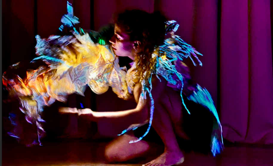 Abertura do 9° Espetacular - Mostra Internacional de Artes para Crianças acontece no Guairinha com o espetáculo BLOOM