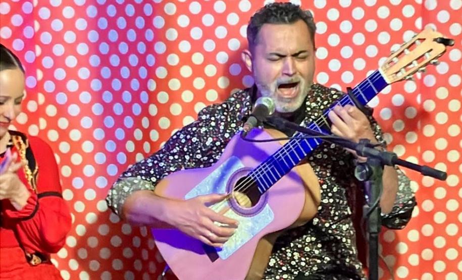 Arte Flamenca no palco do Guairinha: Aire Flamenco em "El Árbol"