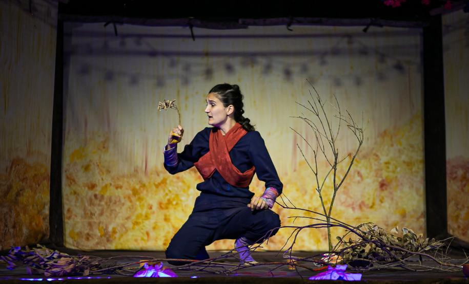 Espetáculo infantil “Plumaje”, inspirado em mitos ancestrais latino-americanos, estreia no Miniauditório