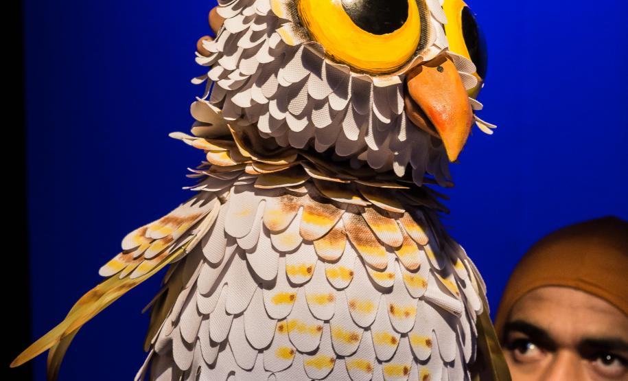 Festival Espetacular de Teatro de Bonecos celebra 25 anos com espetáculos nacionais e internacionais em Curitiba