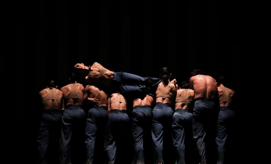 Corpos artísticos do Teatro Guaíra contratam 18 novos profissionais por meio de processo seletivo do PalcoParaná
