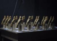 Troféus em formato de gralha azul feitos em madeira.